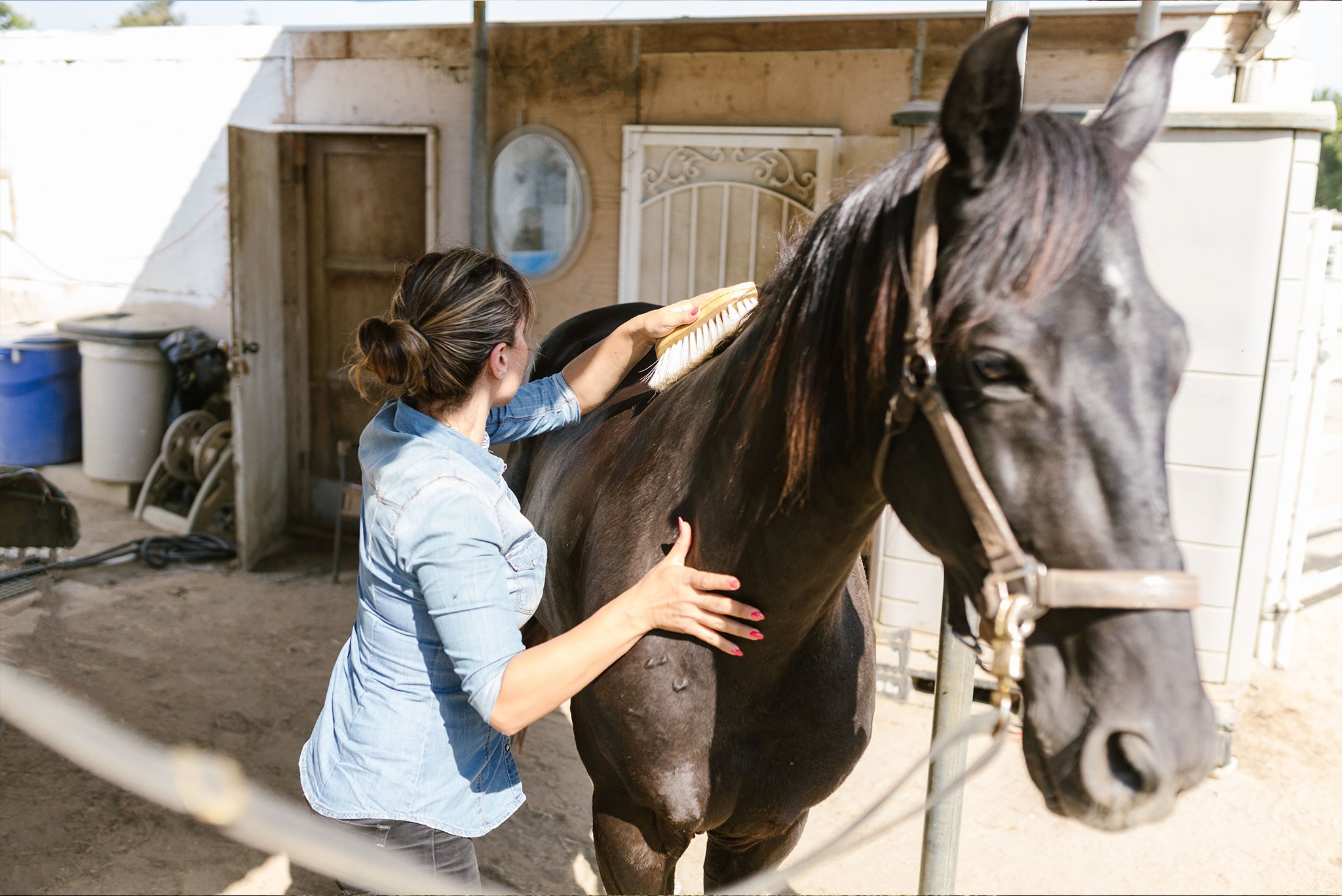 Grooming & Veterinary-Related Supplies