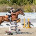 How to Support Your Horse’s Health and Performance